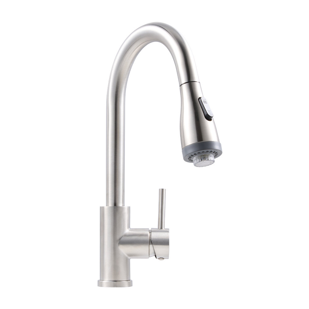 Belfry Kitchen Pull Out Kitchen Faucet
