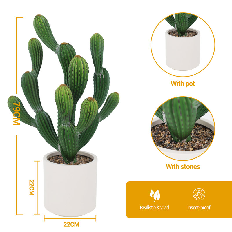79cm Plant