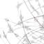 12-Light Crystal Dandelion Starburst Sputnik Chandelier