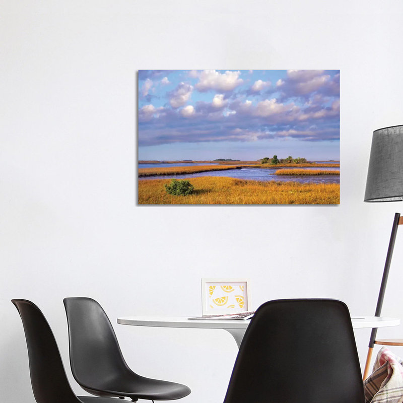 Saltwater Marshes at Cedar Key, Florida 1 Piece Wrapped Canvas Wall Art, 101.6 cm H x 66.04 cm W x 3.175 cm D
