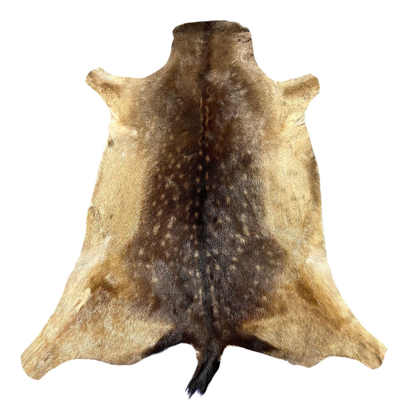 Real Fallow Deer Skin Rug