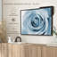 «Pearly White Rose», reproduction sur toile-2136490780