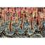 Abstract Area Rug