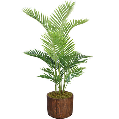 Panama en pot