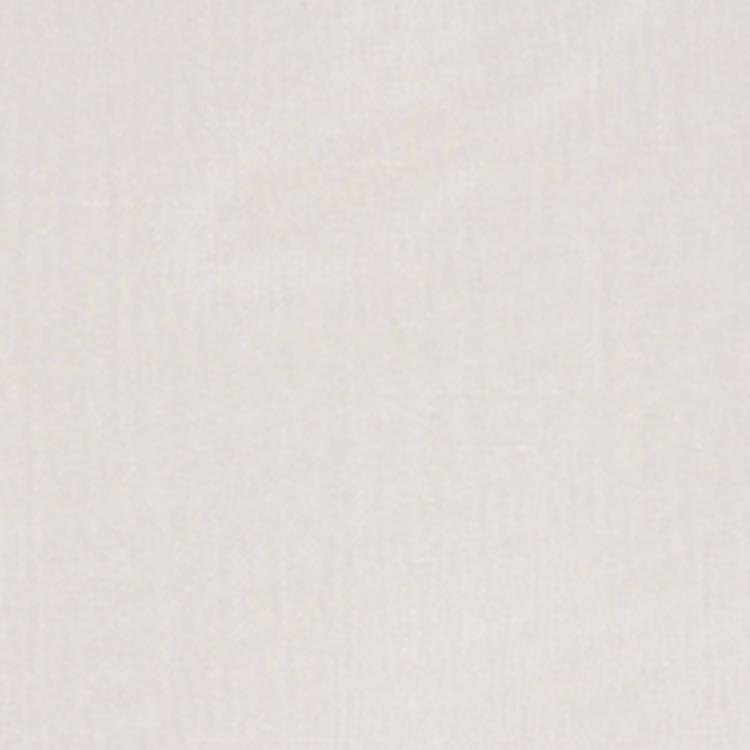 Shutterspeed Fabric, Cream