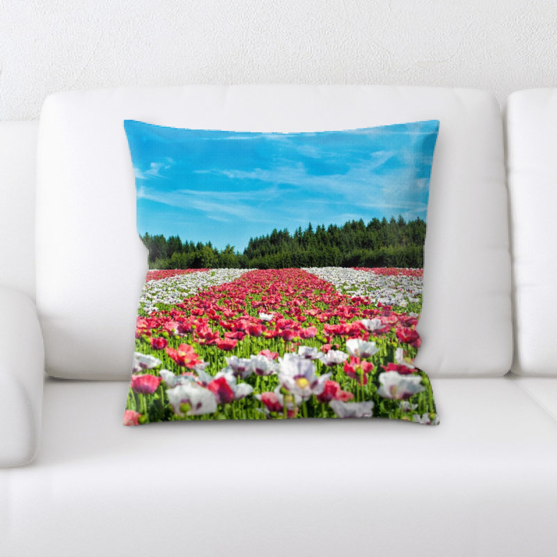 Coussin décoratif dépilé
