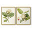 Impression encadrée MagnoliaFlowersI-Premium - prête à être accrochée - aucun clou requis - aucun clou requis-1277906644-1277906601
