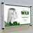 Floating Acrylic Wall Frame with Black Stand Off Caps: 17" X 22" Graphic Size, Overall Frame Size: 21" X 26"