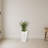 Spiky Agave Artificial Plant in White Planter