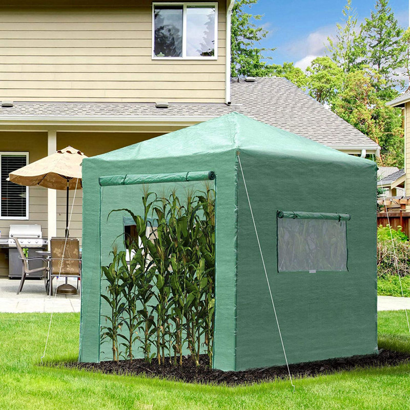 Aneesh 7 Ft W x 5 Ft D Greenhouse