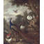 Brandtr 2.5m x 2.5m Matte Mural-125575112