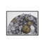 Succulent Garden B Print