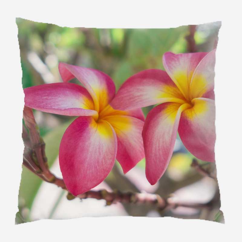 Coussin décoratif fleur Andreas, Microsuède, Intérieur