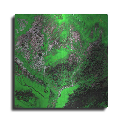 " Earth As Art Araca River "