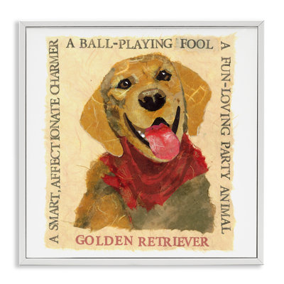 «Golden Retriever» amusant, estampe numérique encadrée par Nancy Overton