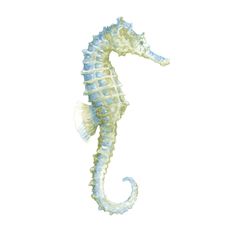 Aquarelle hippocampe I, H 12 po x l 8 po x P 1,25 po