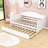 Niesha Twin Size Wooden Daybed with Trundle-30844695