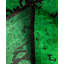 Tapis vert contemporain en laine noué à la main Correll 3 pi 2 po x 5 pi 5 po