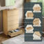 Cunha 70cm W 5 - Drawer Chest of Drawers-506103459