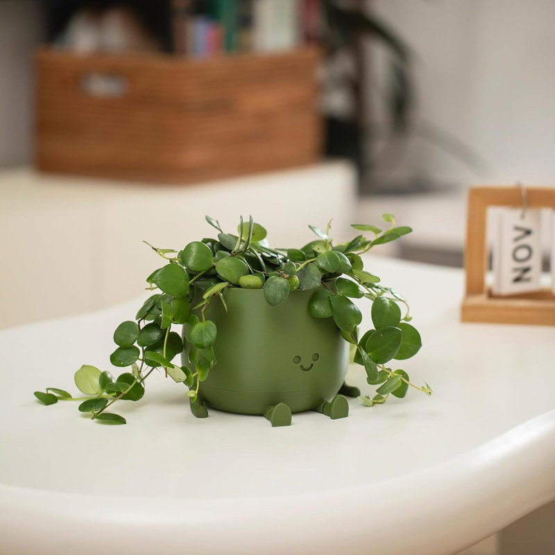 Pot à fleurs en plastique Happy Face