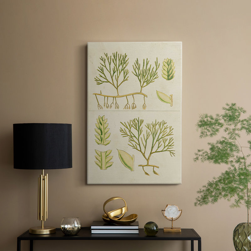 Herbe de mer rétro II - galerie Cavas sur mesure, H 60 po x l 40 po