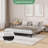 6 Inch Twin/Full/Queen Size Bed Frame, Heavy Duty Metal Platform Bed Frame-788573869