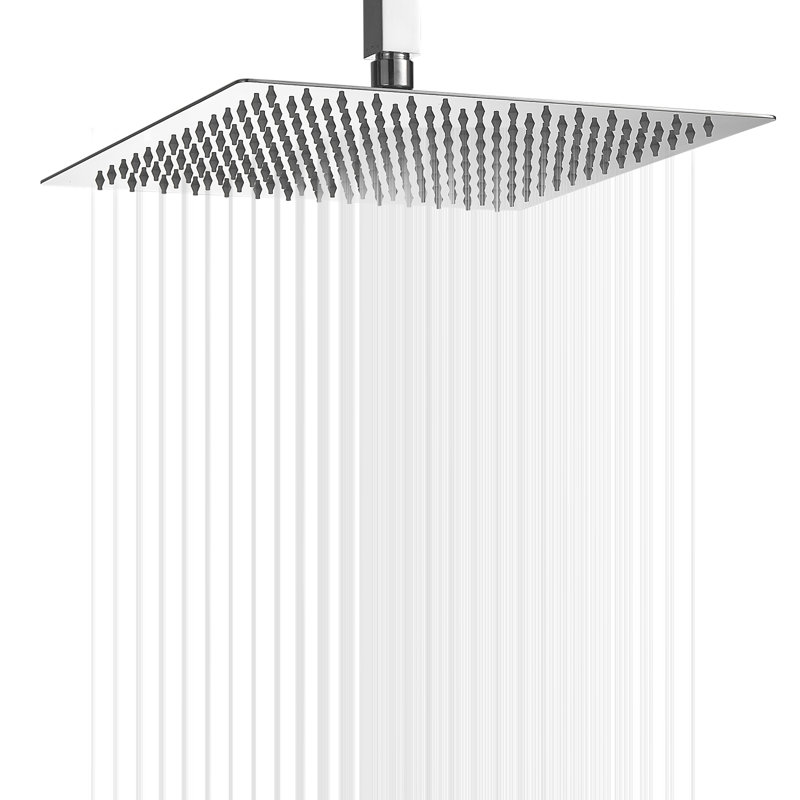 Rain Rain Shower Head 2.5 GPM GPM, Polished Chrome