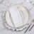 Elegant Embroidery Detail Napkin (Set of 4)-101221245
