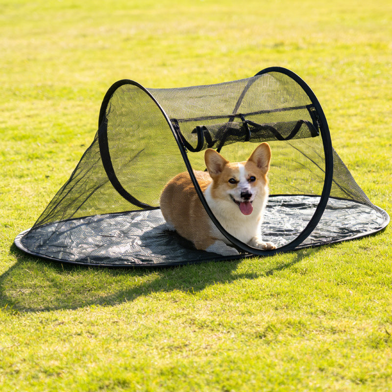 Portable Cat Cage