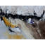 Abstract 887160 Print by Pol Ledent-64402132