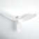 Aisling Ceiling Fan with LED Lights
