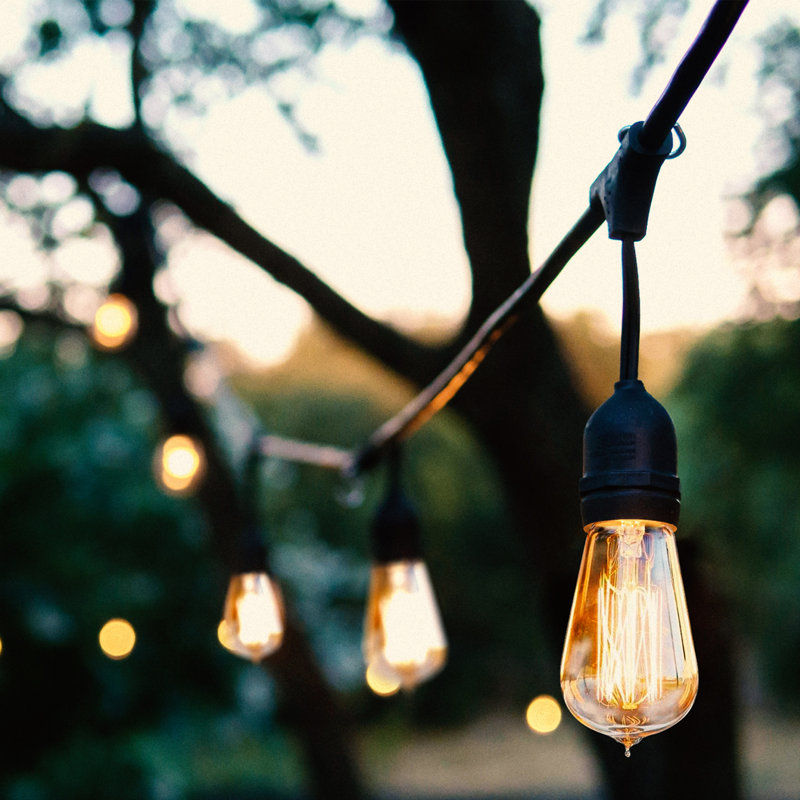 Ambience 48" Outdoor 15 - Bulb Standard String Light (End to End Connectable)