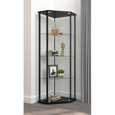 Curio Cabinet with Glass Shelf in Clear and Black by Ebern Designs