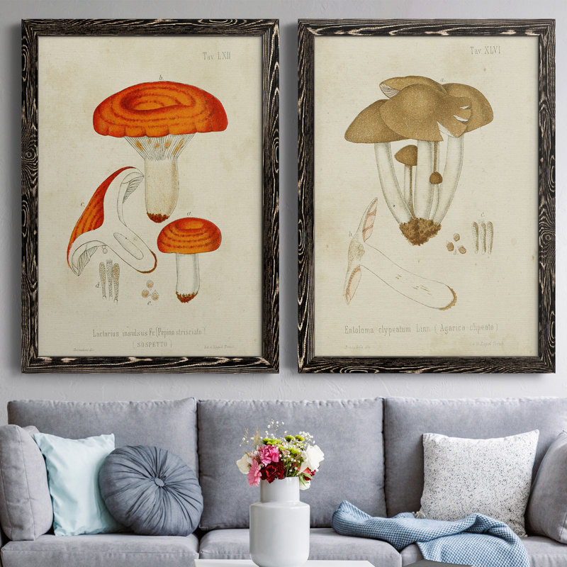 Toile encadrée de qualité supérieure Mushroom Variétés, H 37,5 po x l 55 po x P 1,5 po, Toile avec cadre noir