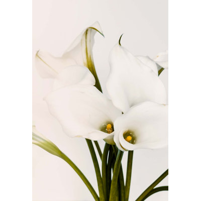 Calla Lily 2 (White) Print