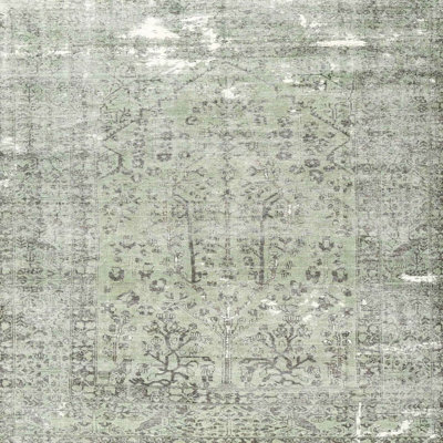 Amettes Indoor Rug