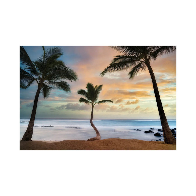 «Palm Sunrise III» par Dennis Frates - Toile tendue avec châssis sur toile tendue, H 18 po x l 26 po x P 1,5 po