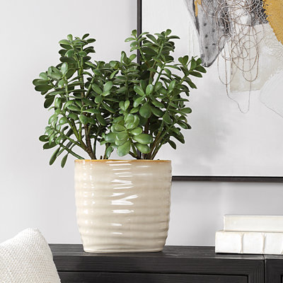 Plante d'appoint Winslow