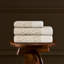 Leopard Guest Towel
