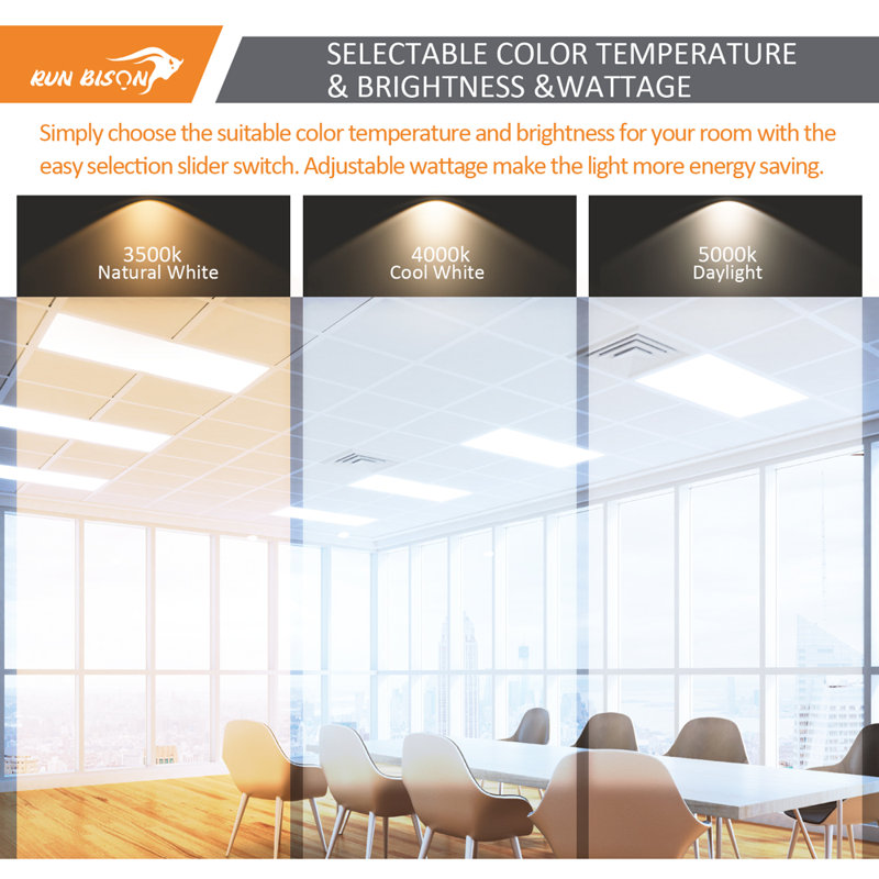 2' x 4' Dimmable Flat Panel Light