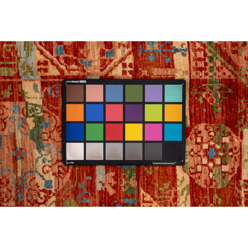 82556 Afghan