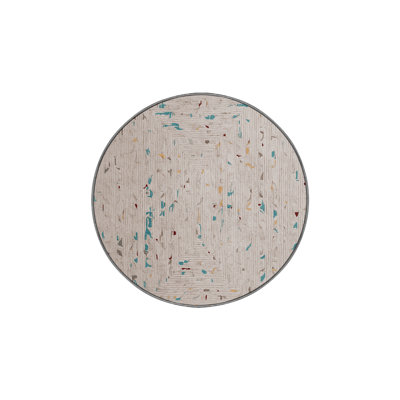 Machine Washable Gray Area Rug