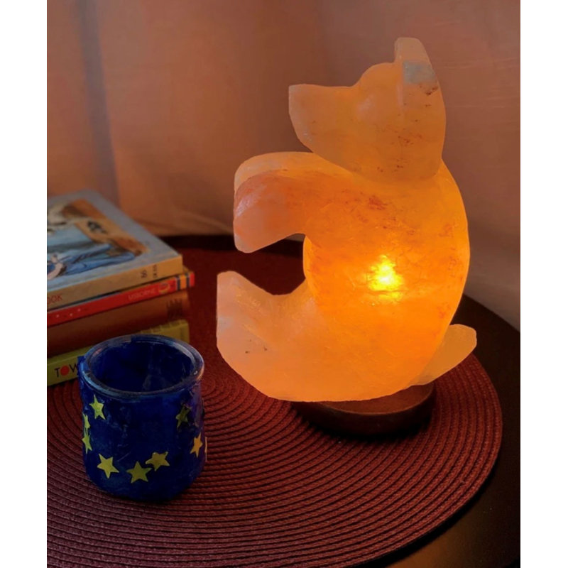 Lampe à sel 7 lb Schutz Bear