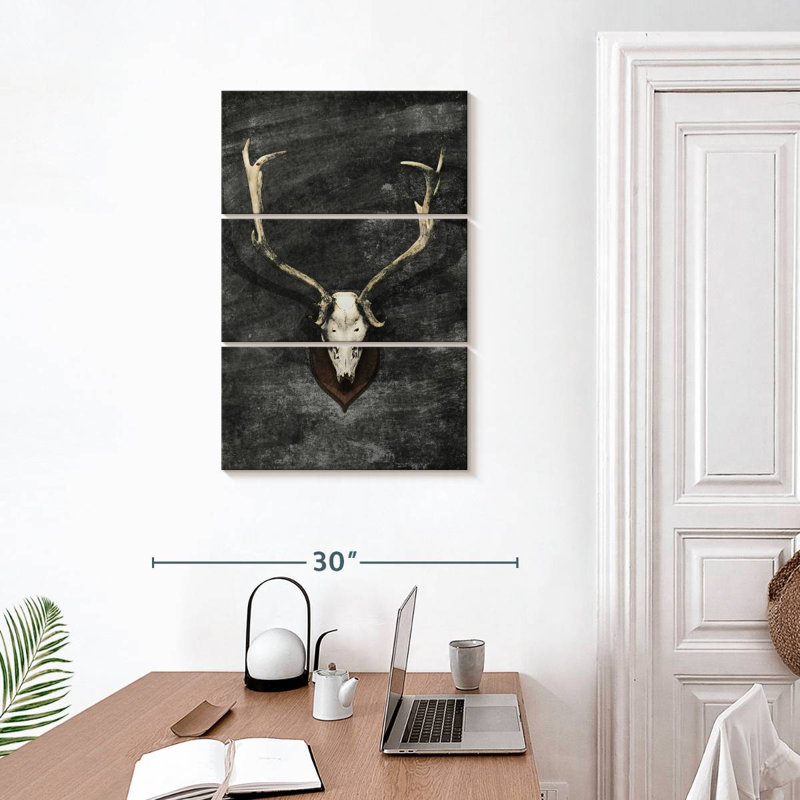 Crâne de cerf trophée Kerner, H 32 po x l 20 po