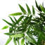 Faux Bamboo Tree in Pot Liner-88980152