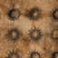 Papier peint soleil bohémien-1668399361