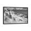 " Icy Studs " by Thomas Barbey-74621237-74621238-74621239