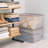 Snap Top Plastic Storage Box - Basics by Wayfair™-46849036-46849136