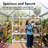 6 ft.W x 4 ft.D Walk-in Outdoor Greenhouse, Polycarbonate Garden House with Aluminum Frame, UV Protection, Roof Vent & Quick Install for Patio Backyard-114394455