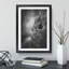 Leopard Vol.5 - Picture Frame Painting-62774491-62774492